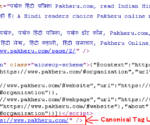 what is canonical tag in hindi